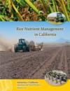 Rice Nutrient Management in California