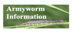 Armyworm Inoformation Icon. png