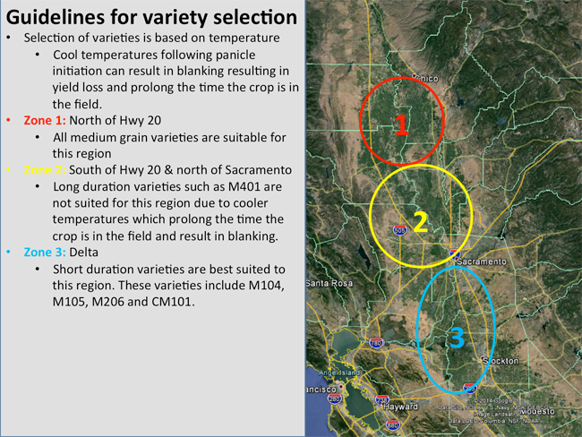 Guidelines for variety selection