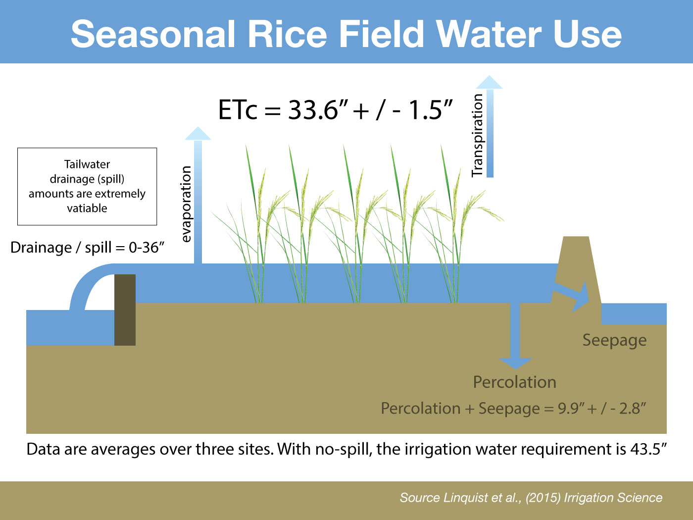 Seasonal Rice Field Water Use